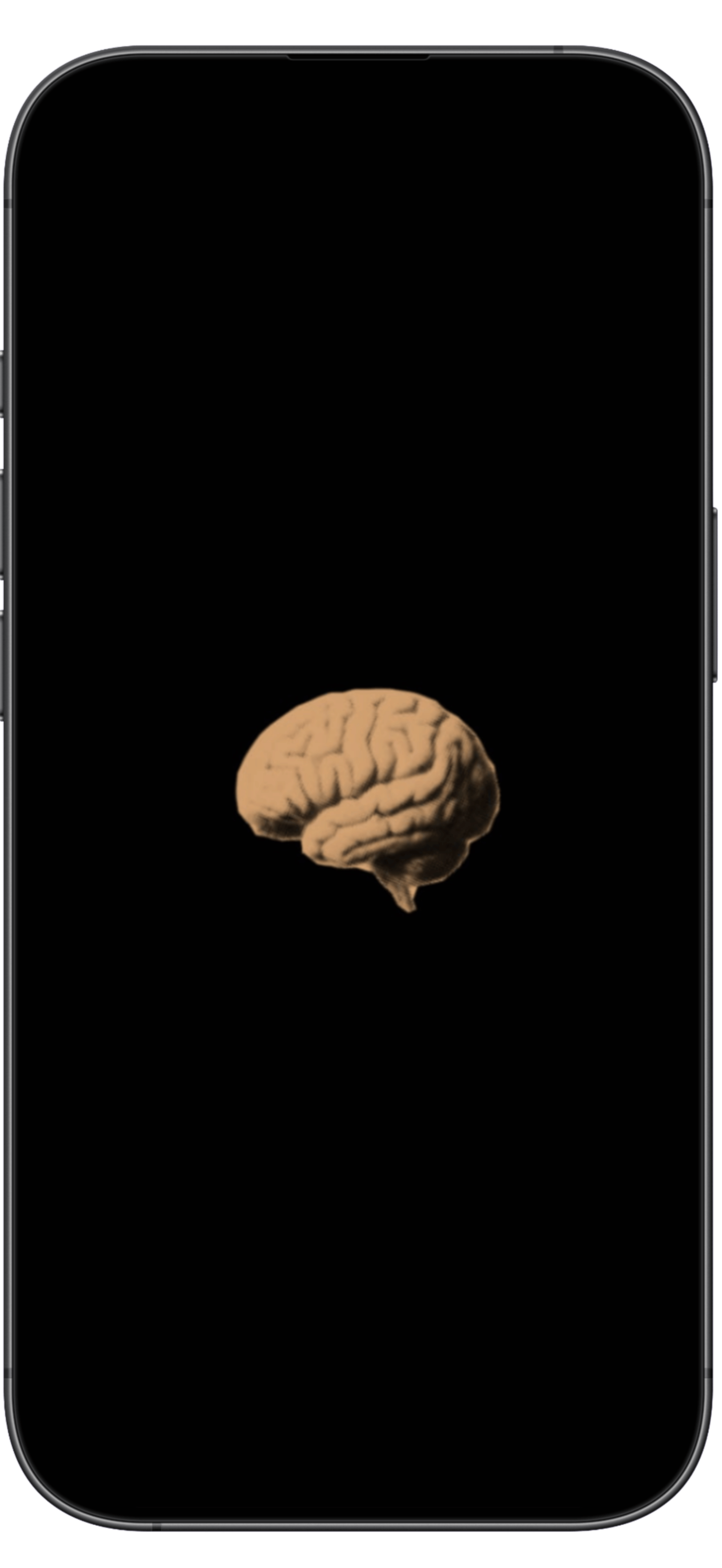 BrainDump