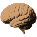 BrainDump