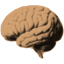 BrainDump
