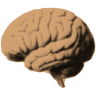 BrainDump